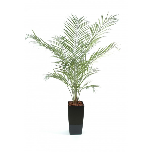 Kentia artificiel new palm